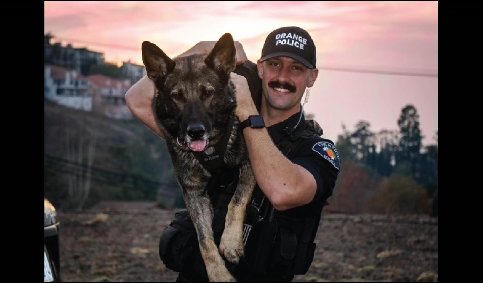 K9 and K9 Officer