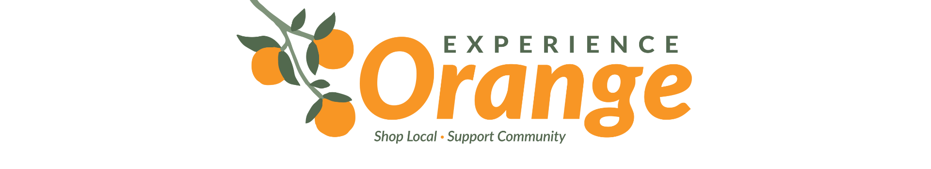 Experience Orange Banner